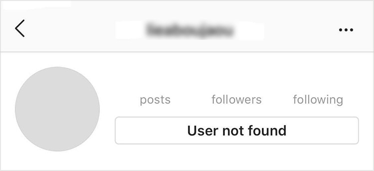 user-not-found-on-instagram