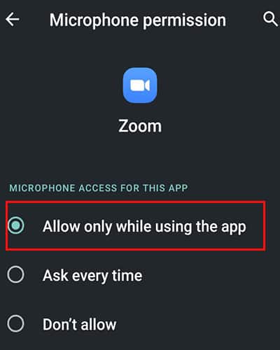 Zoom phone mic permission
