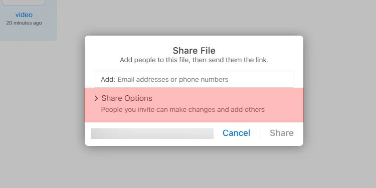 Click-on-Share-Options-to-select-who-can-access-or-make-changes-to-the-file
