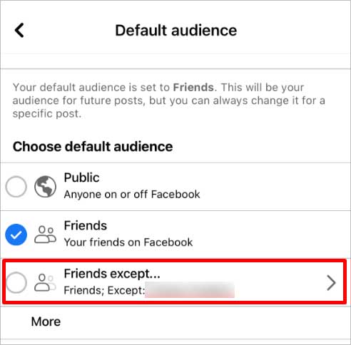 friends-except-option-for-default-audience