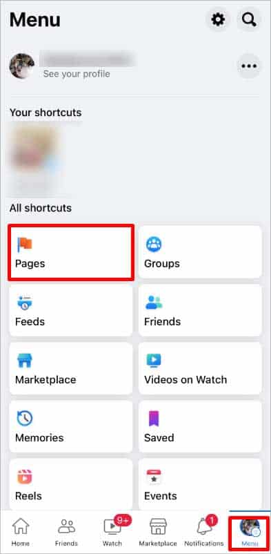 page-option-on-menu-tab