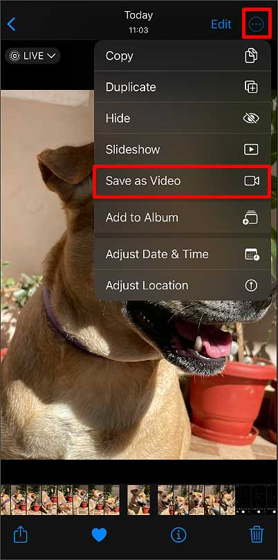 save-as-video-option