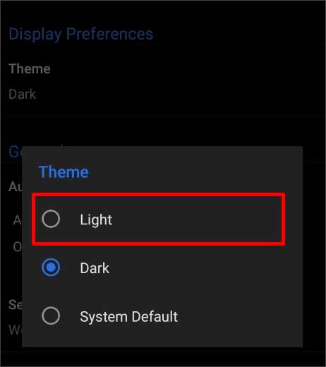 select-the-light-option-for-theme