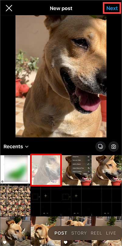 select-the-live-photo-converted-into-a-video