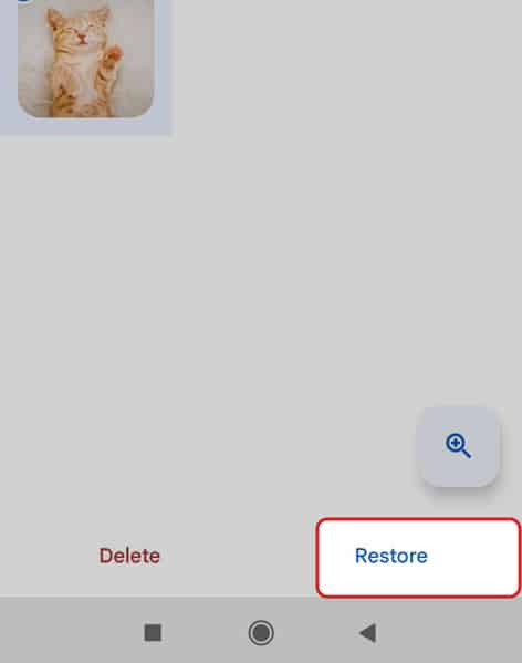 Tap-on-Restore-from-bottom-bar.