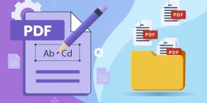 how to write on a pdf