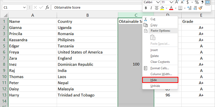 How to hide column Excel