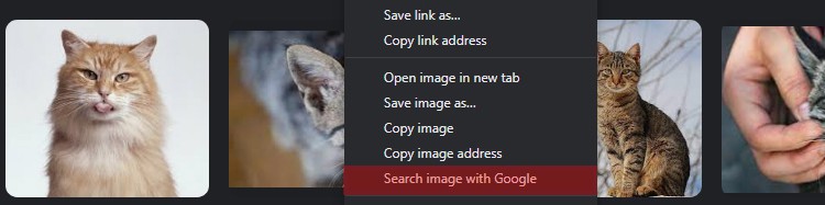 search-image-with-google