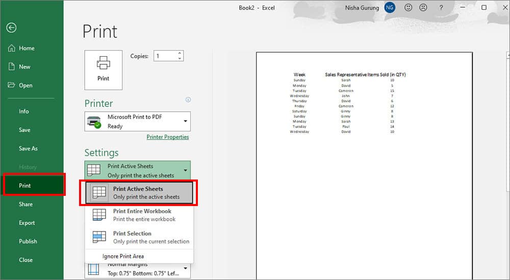 the-Print-Settings-should-be-on-Print-Active-Sheets