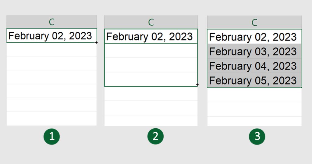 Flash Fill Excel