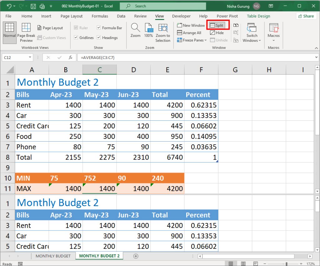 Can you view 2 sheets 2025 side by side in excel