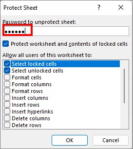 Enter a new Passcode or Password to Protect Sheet