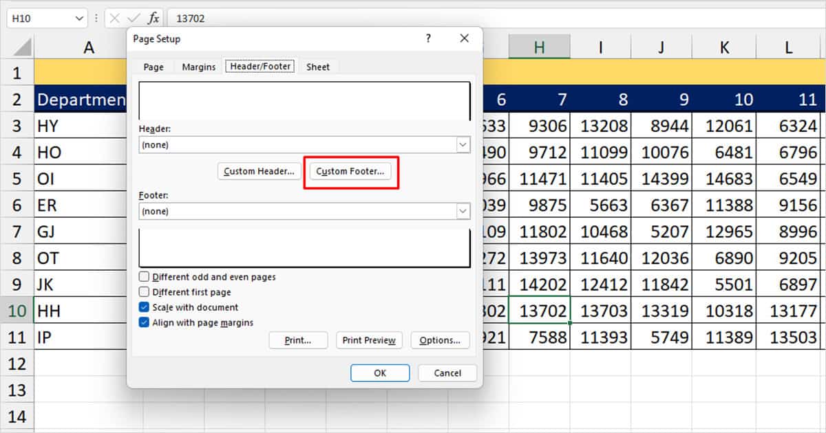 Custom Footer Excel