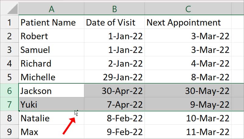 Use-Copy-Pointer-to-swap-Rows-in-Excel