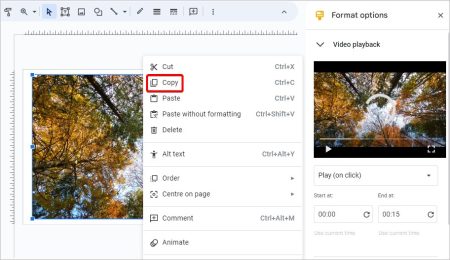 How to Add a Video on Google Docs
