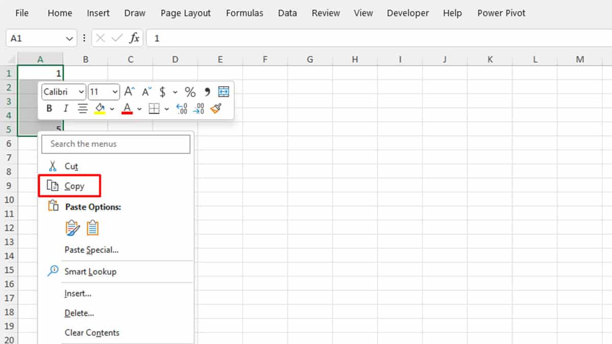 Copy Data in Excel