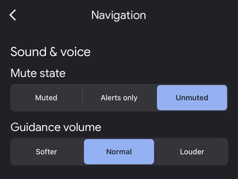 sound-and-voice-options-and-tap-on-unmuted