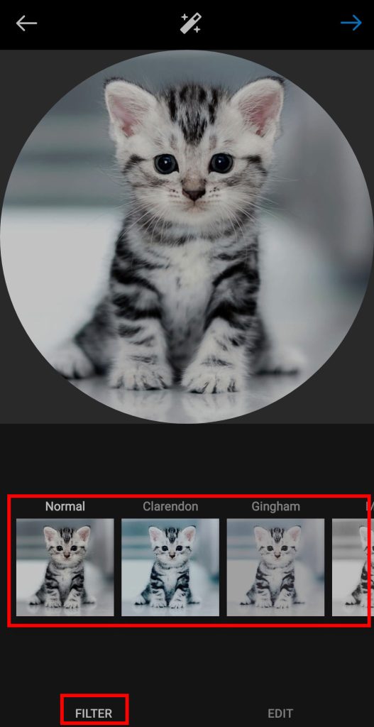How to Add Profile Picture on Threads