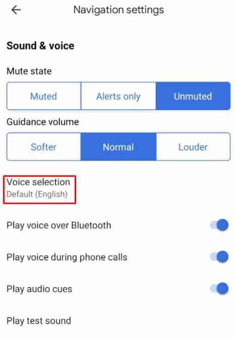 voice-selection