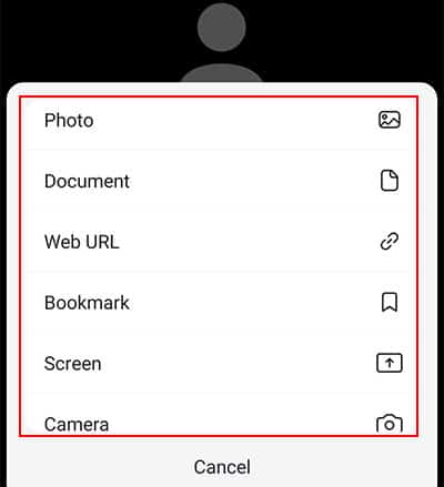 Open-file-or-screen-Zoom-mobile-app