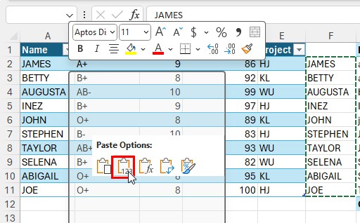 Paste as Values in Excel