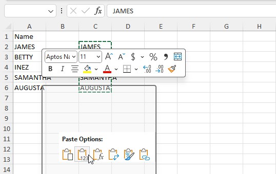 Paste as static object Excel