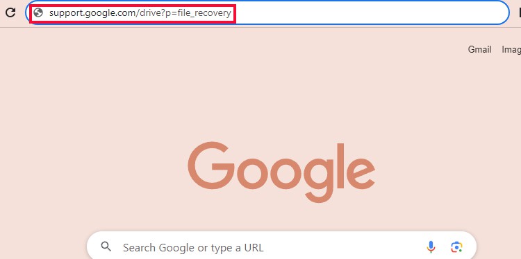 open-google-file-recovery