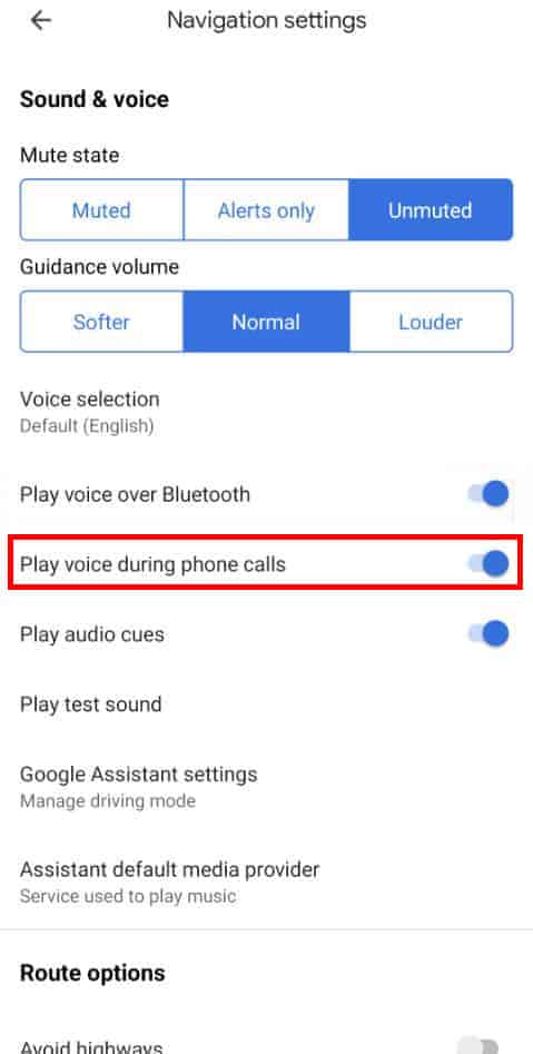 play-voice-during-phone-calls