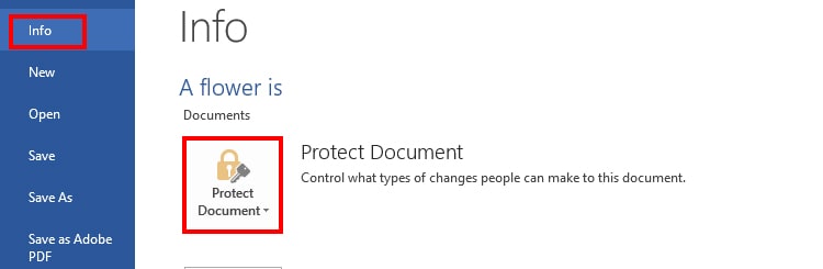 select-info-and-protect-document.