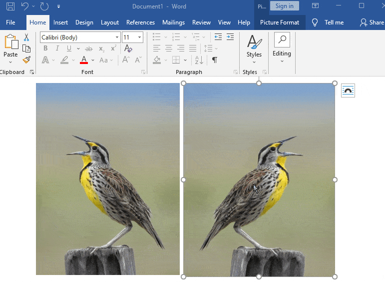 How To Mirror Flip An Image In Microsoft Word