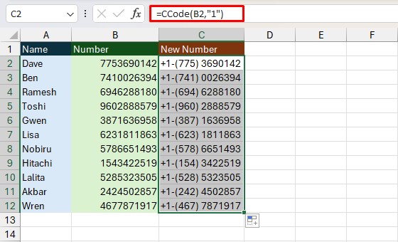 Create Custom Function to Enter Country Code in Excel