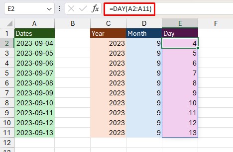 DAY Function Excel