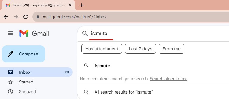 type-is-mute-on-search-bar