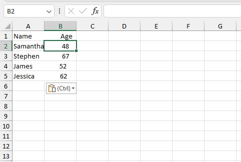 Copy pasted data to Excel
