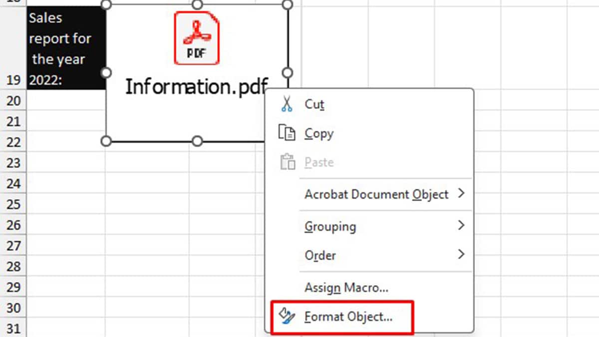 Format Excel Object