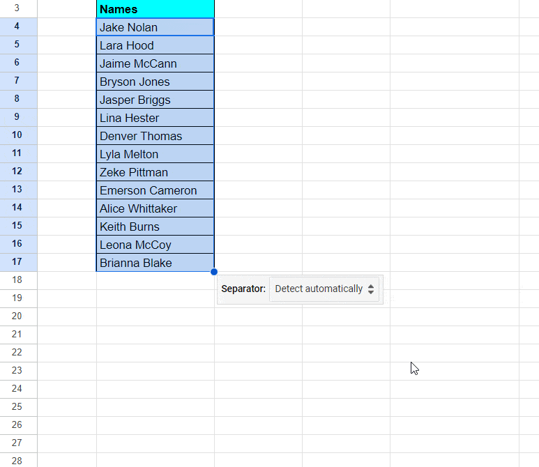 Separate Names using Split text to columns