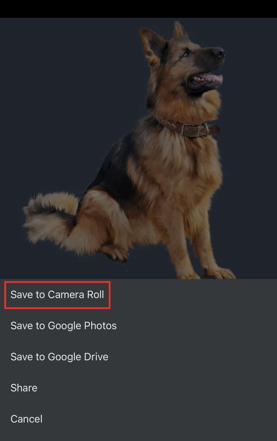 save-to-camera-roll