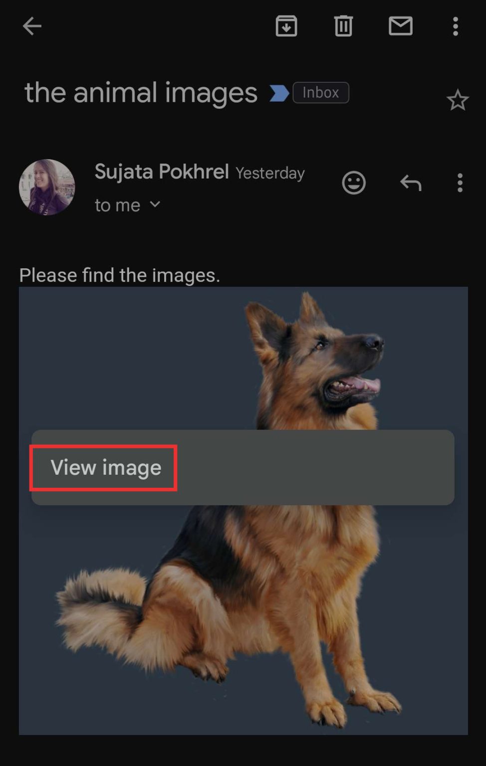 How to Download Gmail Images on Your Device