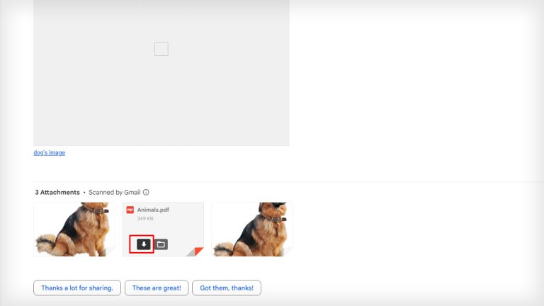 How to Download Gmail Images on Your Device How to Download Gmail Images on Your Device